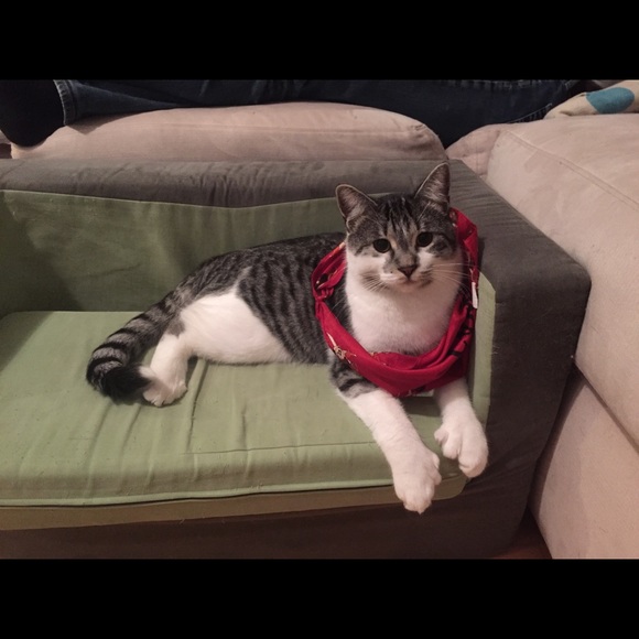 Meet your Posher, Shanna - Picture 1 of 1